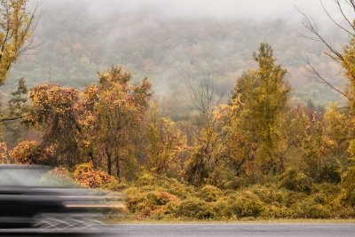 Nat blad is bijna net zo glad als ijzel op de weg